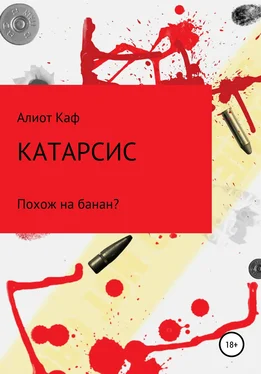 Алиот Каф Катарсис обложка книги