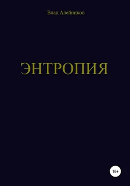 Владислав Алейников Энтропия обложка книги