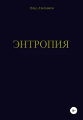 Владислав Алейников - Энтропия