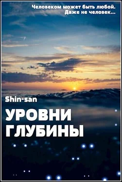 Shin-san Уровни Глубины [AT] обложка книги