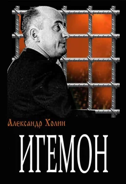 Александр Холин Игемон обложка книги