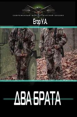 Егор А. Два брата [СИ] обложка книги