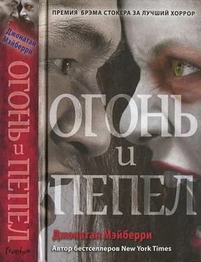 Джонатан Мэйберри Огонь и пепел обложка книги