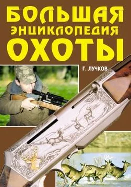 Геннадий Лучков Большая энциклопедия охоты обложка книги