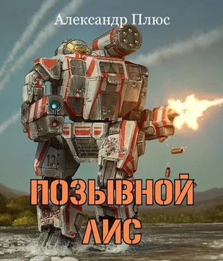 Александр Плюс Позывной Лис обложка книги