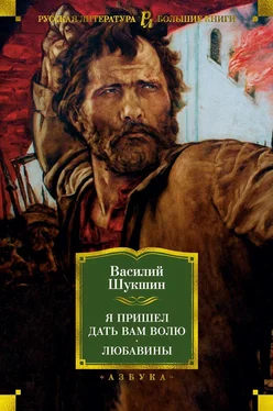 Василий Шукшин Я пришёл дать вам волю. Любавины обложка книги