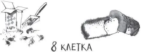 Вернувшись в здание Птичьего отдела Сергей скрылся в раздевалке Когда он - фото 18