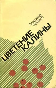 Владимир Глушаков Цветение калины обложка книги