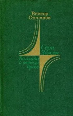 Виктор Степанов Серп Земли. Баллада о вечном древе обложка книги