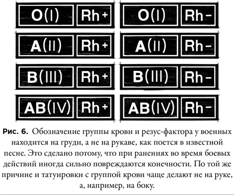 Сегодня изучены и охарактеризованы десятки групповых антигенных систем крови - фото 6