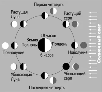 Как можно перепутать два этих явления Наверное авторы некоторых детских книг - фото 132