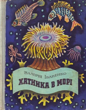 Валерия Иваненко Хатинка в морі обложка книги