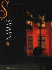 Даниэла Стил - Namas