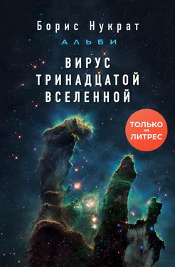 Борис Нукрат Вирус тринадцатой вселенной [litres] обложка книги