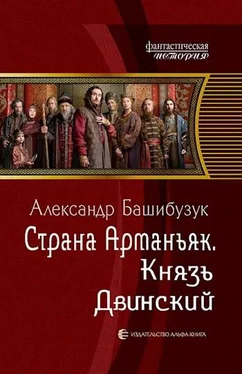 Александр Башибузук Князь Двинский обложка книги