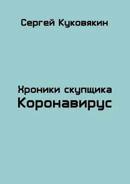 Сергей Куковякин Коронавирус обложка книги