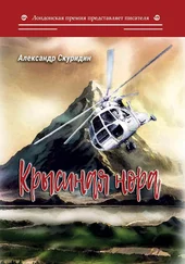 Александр Скуридин - Крысиная нора