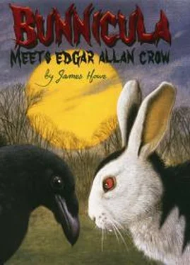Джеймс Хоу Bunnicula Meets Edgar Allan Crow обложка книги
