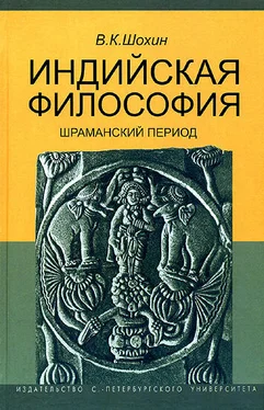 Владимир Шохин Индийская философия. Шраманский период обложка книги