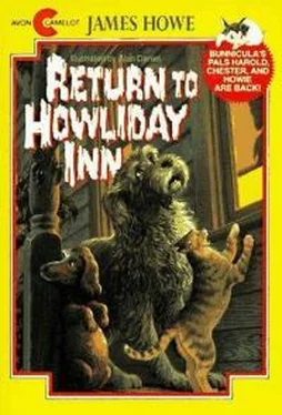 Дебора Хоу Return To Howliday Inn обложка книги