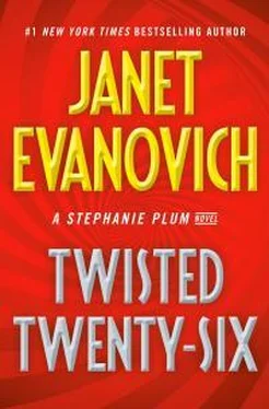 Джанет Иванович Twisted Twenty-Six обложка книги
