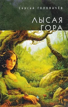 Сергей Головачев Лысая гора [издательство «Алетейя»]