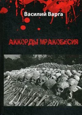 Василий Варга Аккорды мракобесия. Том I обложка книги