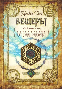 Майкл Скотт Вещерът обложка книги