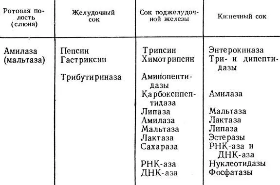 Таблица 13 Содержание ферментов в пищеварительных соках Пищеварительные - фото 231