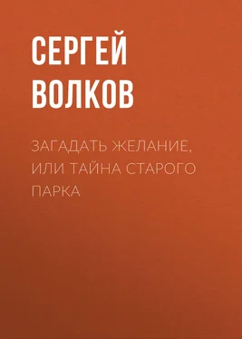 Сергей Волков Загадать желание, или Тайна старого парка обложка книги