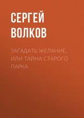 Сергей Волков - Загадать желание, или Тайна старого парка