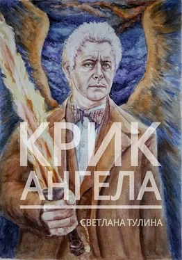 Светлана Тулина Крик ангела [СИ] обложка книги