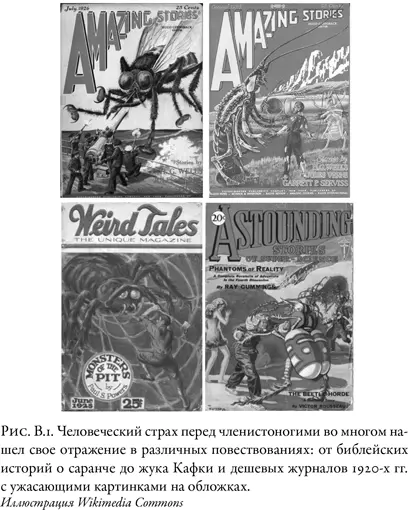 Переход от рейдерских разграблений гнезд диких пчел к пасечному пчеловодству - фото 3