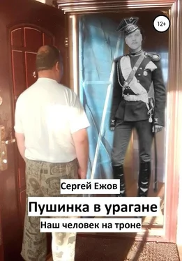 Сергей Ежов Пушинка в урагане обложка книги