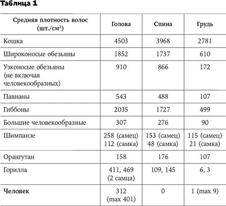 Но самый интересный вывод автора состоит в том что по густоте волос разница - фото 8