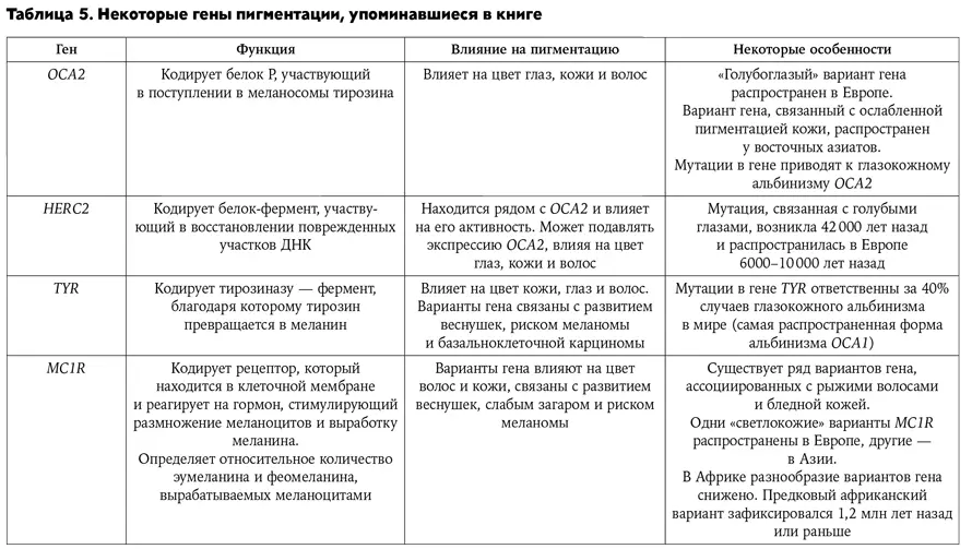 Странная обезьяна Куда делась шерсть и почему люди разного цвета - фото 86