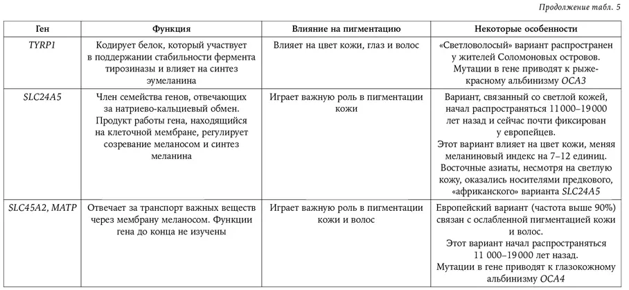 Странная обезьяна Куда делась шерсть и почему люди разного цвета - фото 87