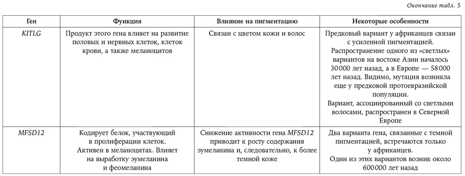 Странная обезьяна Куда делась шерсть и почему люди разного цвета - фото 88