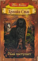 Эрин Хантер - Тьма наступает