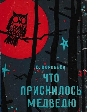 Владимир Воробьев Что приснилось медведю обложка книги