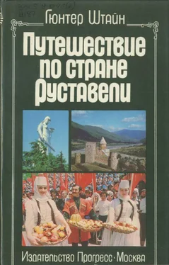 Гюнтер Штайн Путешествие по стране Руставели обложка книги