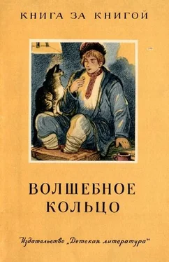 Андрей Платонов Волшебное кольцо [сборник сказок] обложка книги