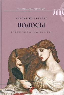 Сьюзан Винсент Волосы. Иллюстрированная история обложка книги