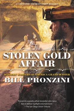 Билл Пронзини The Stolen Gold Affair обложка книги