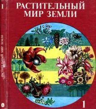 Гаральд Мюллер Растительный мир Земли. Т.1 обложка книги