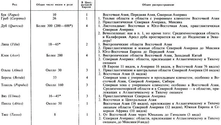 6 В зависимости от понимания объема вида разными исследователями Буковые - фото 175