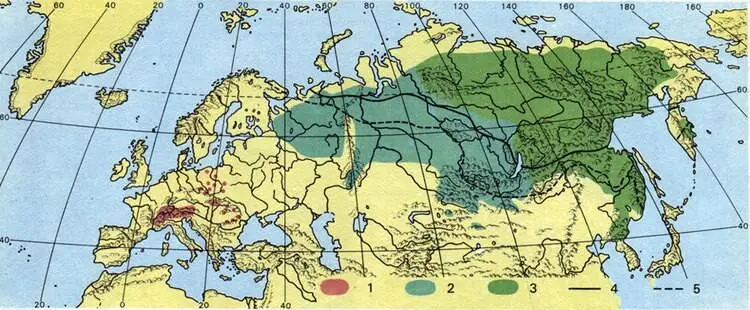 Распространение разных видов лиственницы в Евразии и южная граница вечной - фото 274