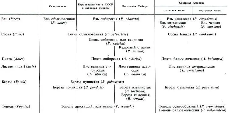 Все сказанное естественно влияет на структуру растительного покрова - фото 276