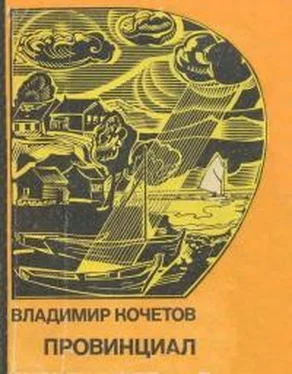Владимир Кочетов Провинциал обложка книги