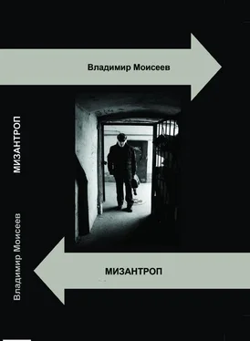 Владимир Моисеев Мизантроп [СИ] обложка книги